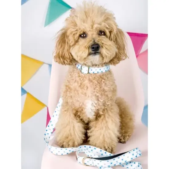 Pink Papyrus Drew Dog Leash image {1}