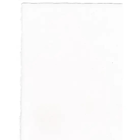 Arches Watercolor Paper 140 Lb. Cold Press White 22 In. X 30 In. Sheet (100511522) 84335 image {1}