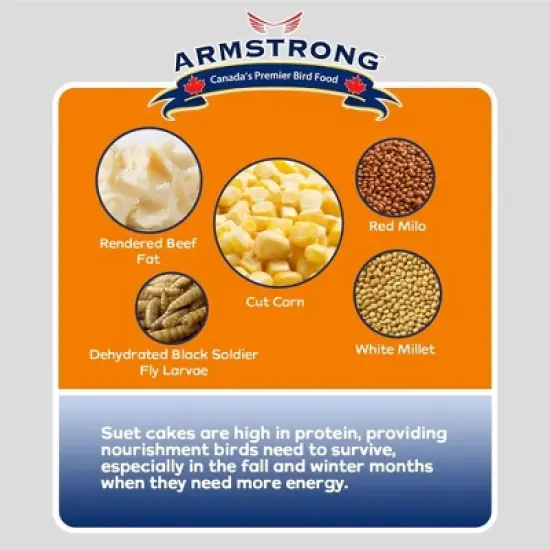 Armstrong Wild Bird Food Bird Grub Suet Cake, 10.6oz (Pack of 12) image {4}