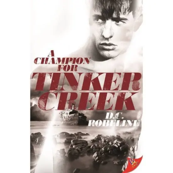 A Champion for Tinker Creek - by  D C Robeline (Paperback) image {1}