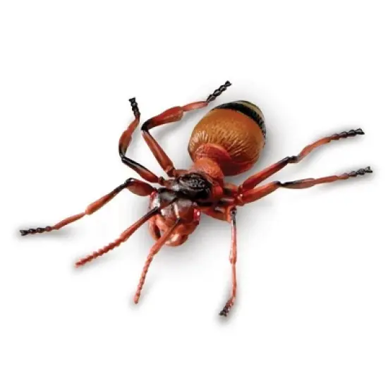 Learning Resources Jumbo Insects, Fly, Ant, Bee, Ladybug, Grasshopper, Butterfly, and Dragonfly, 7 Insects image {5}