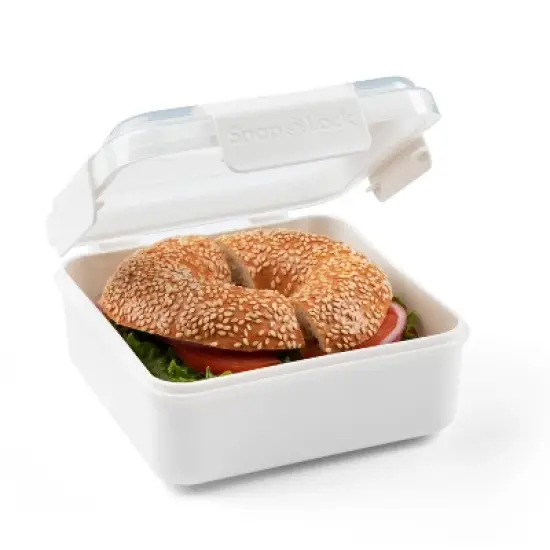 SnapLock Internat Large Sandwich To Go Food Storage Container image {1}
