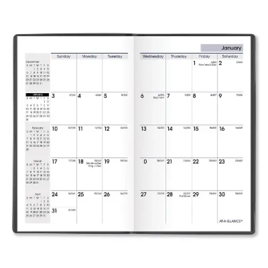 DayMinder Pocket-Sized Monthly Planner, Unruled Blocks, 6 x 3.5, Black Cover, 14-Month: Dec 2025 to Jan 2027 image {1}