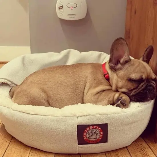 Majestic Pet Wales Canopy Cat Bed image {2}