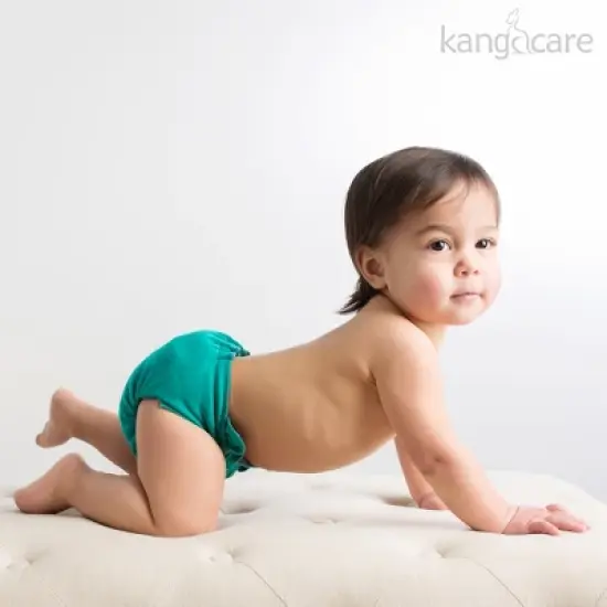 Kanga Care Ecoposh OBV (Organic Bamboo Velour) One Size Adjustable Pocket Fitted Cloth Diaper image {1}