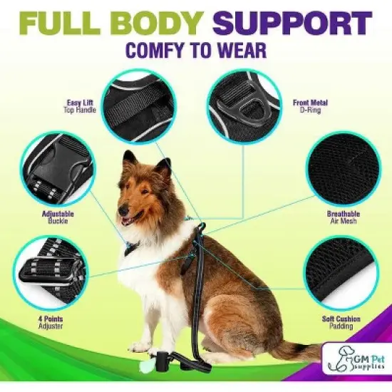 Gm Harness Leash Poo Bag Holder Set image {4}
