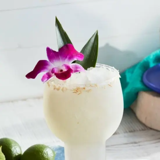 Torani Sugar Free Coconut Syrup - 1500ml/4ct image {3}