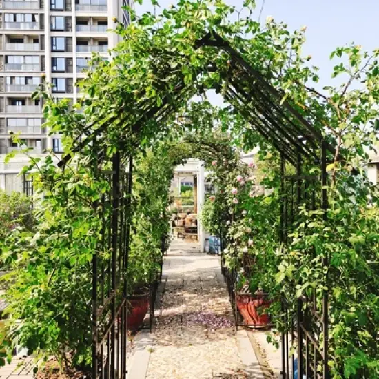Dolonm Metal Garden Arch with Gate Climbing Plants Support Rose Arch Outdoor Black image {2}