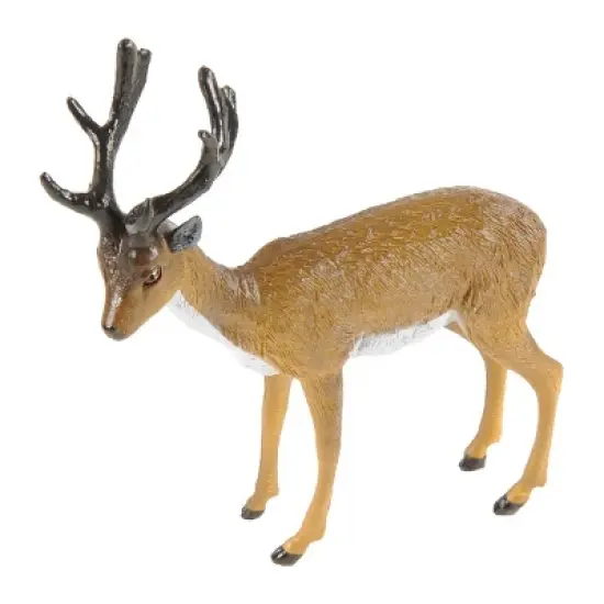 Kaplan Early Learning North American Wildlife - Set of 13 image {5}