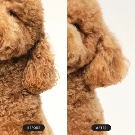 Pet Teezer Small Dog Grooming Brush - Lilac Purple image {7}