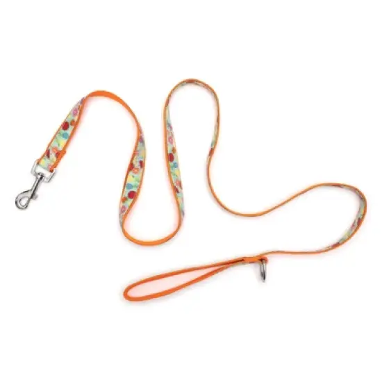 The Worthy Dog Tutti Frutti Pet Leash image {2}