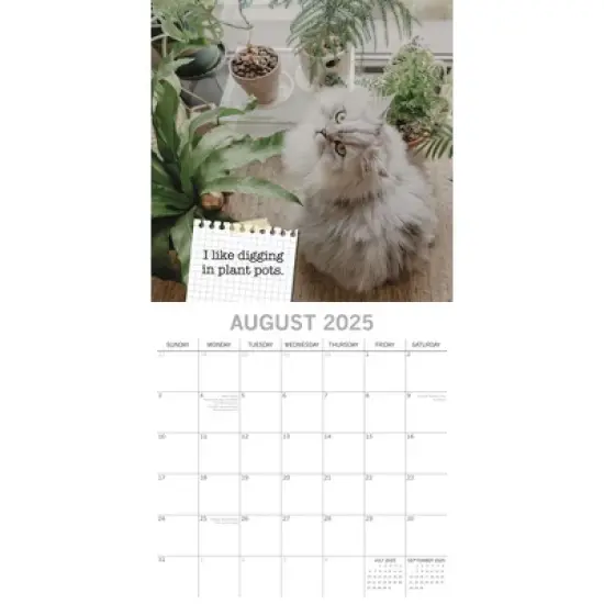 The Gifted Stationery 2025 Square Wall Calendar, Cat Shaming, 16-Month Humor Theme with 180 Reminder Stickers (12 x 12 In) image {2}