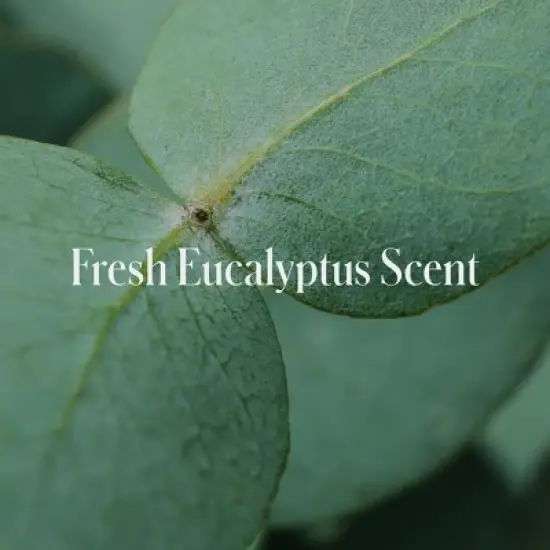 Geologie Clear System Acne Control Body Wash - 8.4 fl oz image {4}