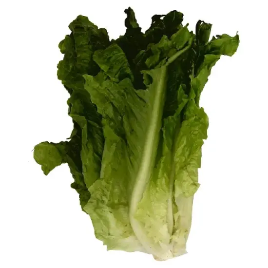 Fresh Green Leaf Lettuce Head - each image {5}