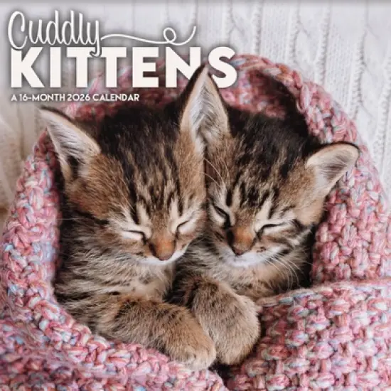 Trends International 2026 Cuddly Kittens 12"x12" Wall Calendar image {7}