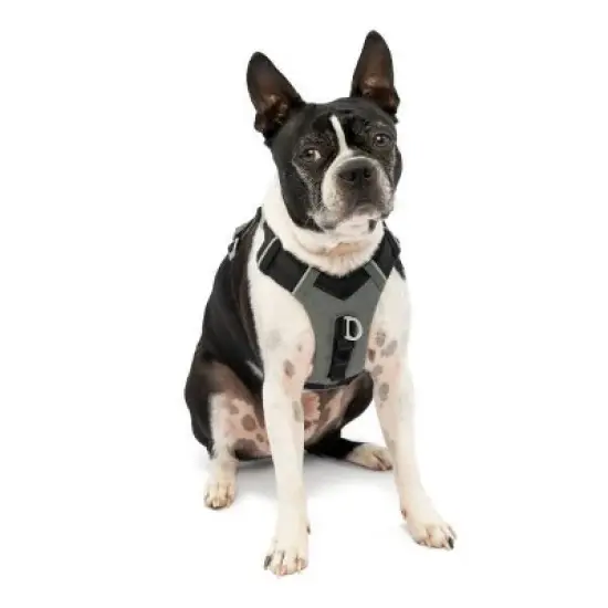 Kurgo Journey Air Adjustable Dog Harness image {7}