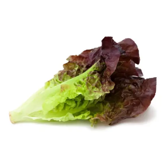 Fresh Red Leaf Lettuce Head - each image {4}