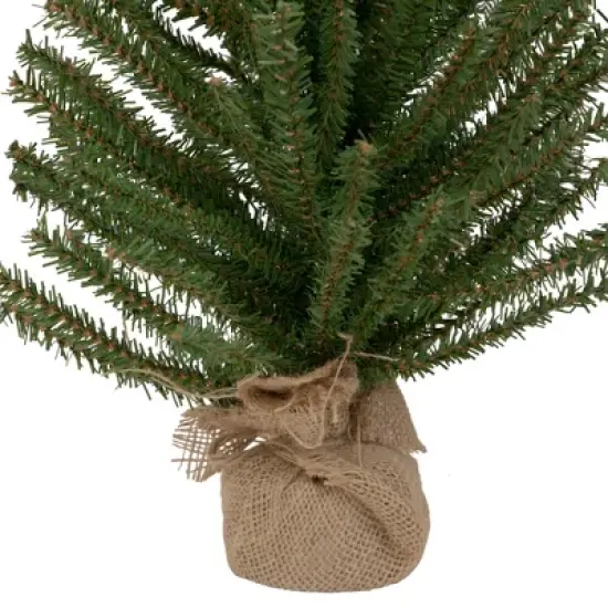 Northlight 2 FT Traditional Scottsdale Mini Pine Artificial Christmas Tree with Burlap, Unlit image {4}