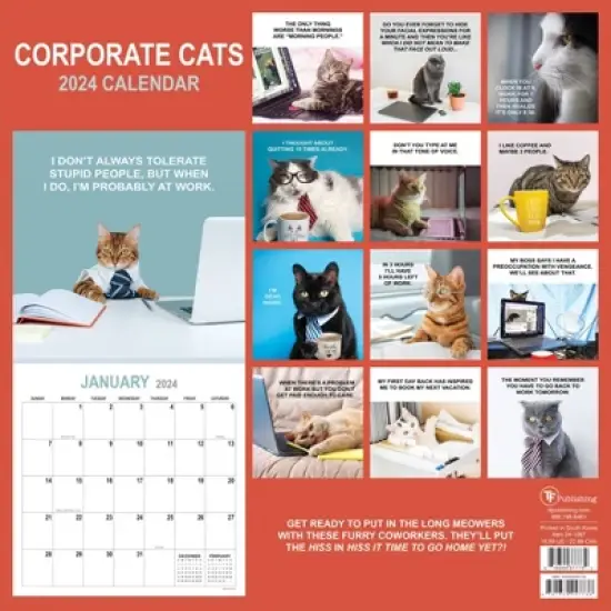 TF Publishing 2024 Wall Calendar 12"x12" Cooperate Cats image {4}