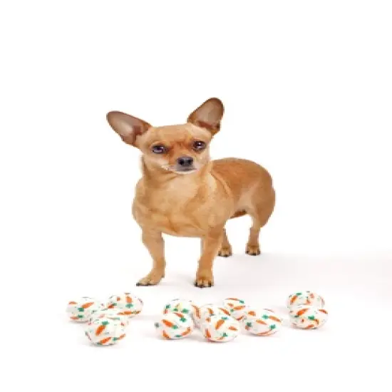 Midlee Easter Carrot Dog Tennis Balls image {3}