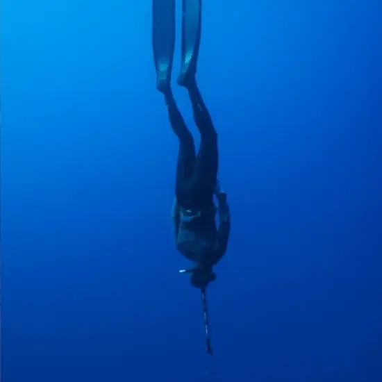 Sportube Series 2 Lightweight Protective Outdoor Sports Gear Travel Case image {5}