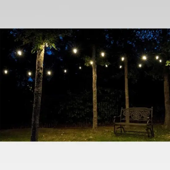 24ct Classic Caf&eacute; Outdoor String Lights Integrated LED Bulb - Black Wire - Enbrighten image {3}