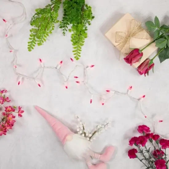 Northlight Mini Incandescent Christmas Lights - Pink - 7' White Wire - 35ct image {2}