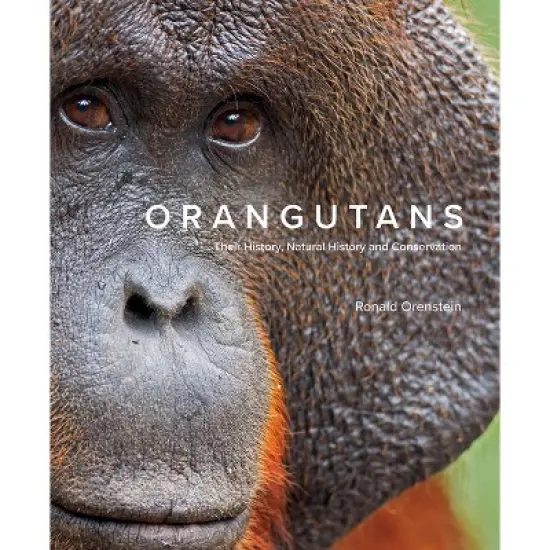 Orangutans - by  Ronald Orenstein (Hardcover) image {1}
