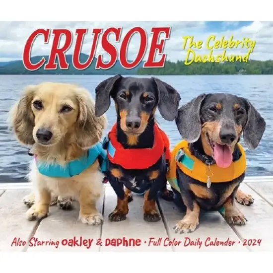 Willow Creek Press 2024 Daily Desk Calendar 5.2"x6.2" Crusoe the Celebrity Dachshund image {4}