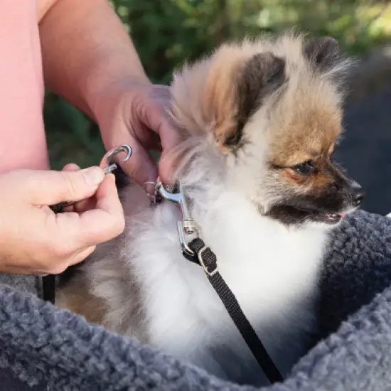 Travel Bike Basket image {7}
