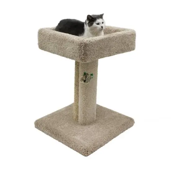Beatrise Pet Products Cat Scratching House Post with Perch - 26" image {2}