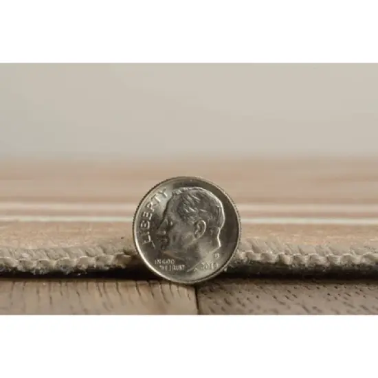 Nimbus Washable Outdoor Rug Tan/Ivory - Linon image {5}