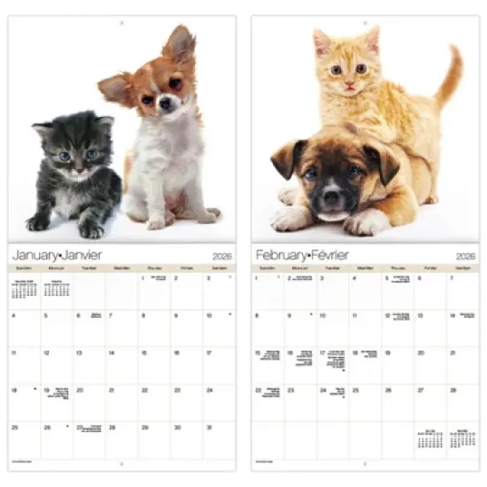 Trends International 2026 Buddies Bilingual French 12"x12" Wall Calendar image {5}
