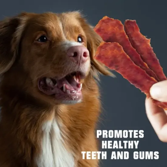 Beloved Pets All Natural Duck Jerky Dog Treats Chews Grain Free High Protein Human Grade 1.5 LB - 1 Pack image {5}