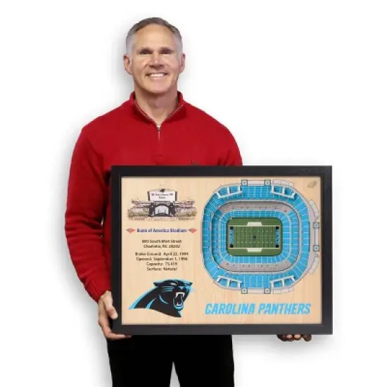 NFL Carolina Panthers 25-Layer StadiumViews 3D Wall Art image {3}