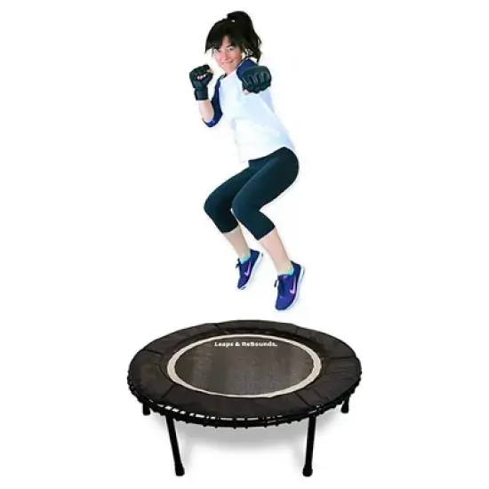 LEAPS & REBOUNDS 48" Adjustable Stability Bar Attachment with 48" Mini Fitness Trampoline and Home Gym Rebounder for Cardio Exercises, Gray image {2}