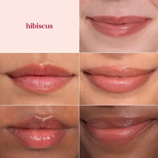 Burt's Bees Tinted Lip Balm - Hibiscus - 0.15oz image {2}