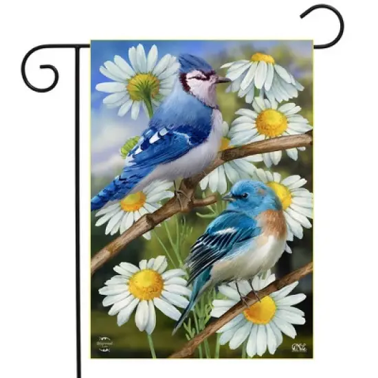 Briarwood Lane Spring Garden Flag 12x18 For Outdoor Birds and Daisies For Spring Garden Flag Flags For Outside image {1}
