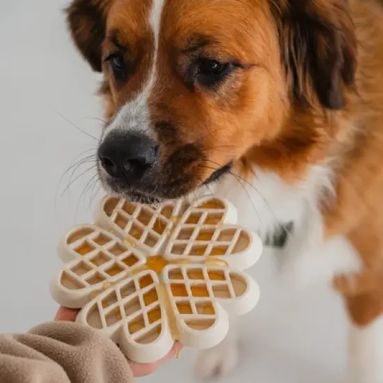 Dexypaws: Hide & Seek Slow Feeder, Buttercream, Meal & Treat Feeding image {2}