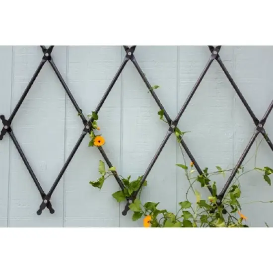 Achla Designs 43" Traditional Wall Mounted Lattice Iron Garden Trellis Graphite Powder Coat Finish image {2}