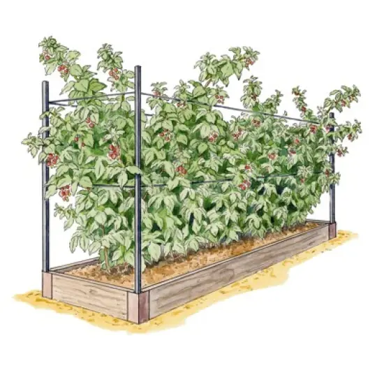 Raised Garden Bed, Raspberry Bed Kit image {1}