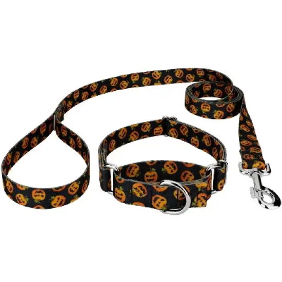 Country Brook Petz Happy Jack Martingale Dog Collar and Leash image {6}
