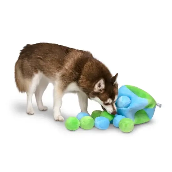 Midlee Hide a Ball Dog Toy - Blue/Green image {1}