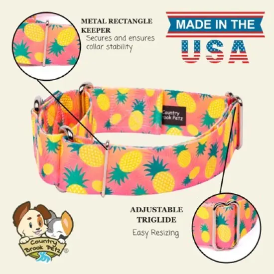 Country Brook Petz HossFit Jr Wide Martingale Dog Collar, Tasty Collection image {5}