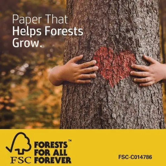 HP Office20 8.5" x 11" Multipurpose Paper 20 lbs. 92 Brightness 664252 image {4}