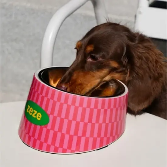 ZEZE Pet Metal Bowl image {7}