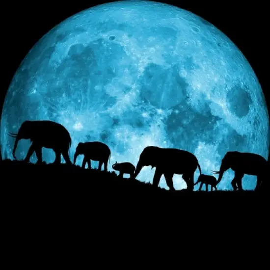 Junior's Design By Humans United Together - Elephants By Maryedenoa T-Shirt image {1}