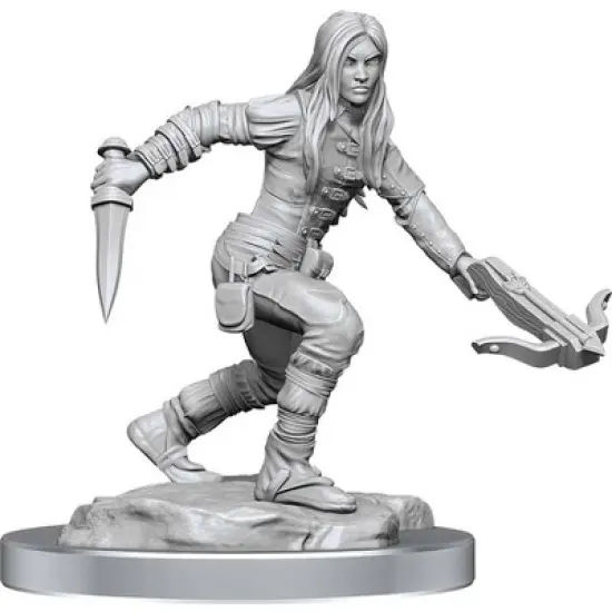 Neca D&D Nolzurs Marvelous Unpainted Miniatures | Half-Elf Rogue Female image {1}