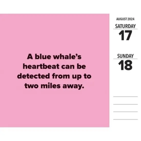 Willow Creek Press 2024 Daily Desk Calendar 5.2"x6.2" Today I Learned image {2}