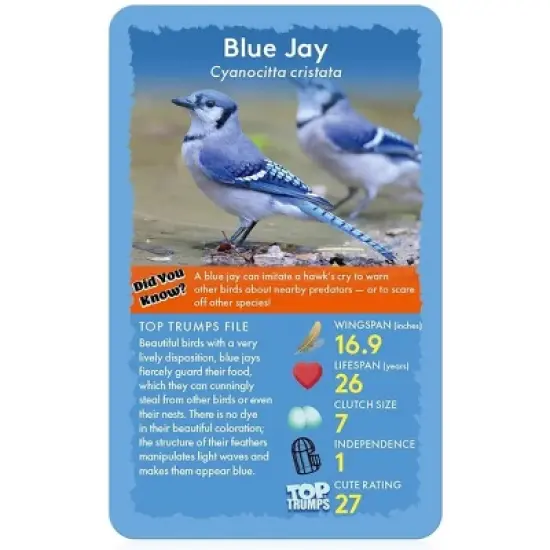 Top Trumps Birds Top Trumps Card Game image {2}